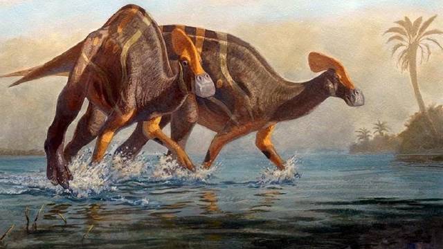 Identifican nueva especie de dinosaurio en México