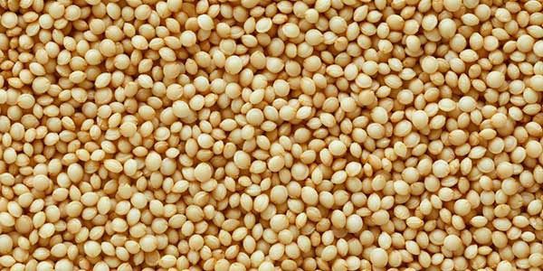 Acuerdan dos mil apoyos a productores der amaranto en Morelos