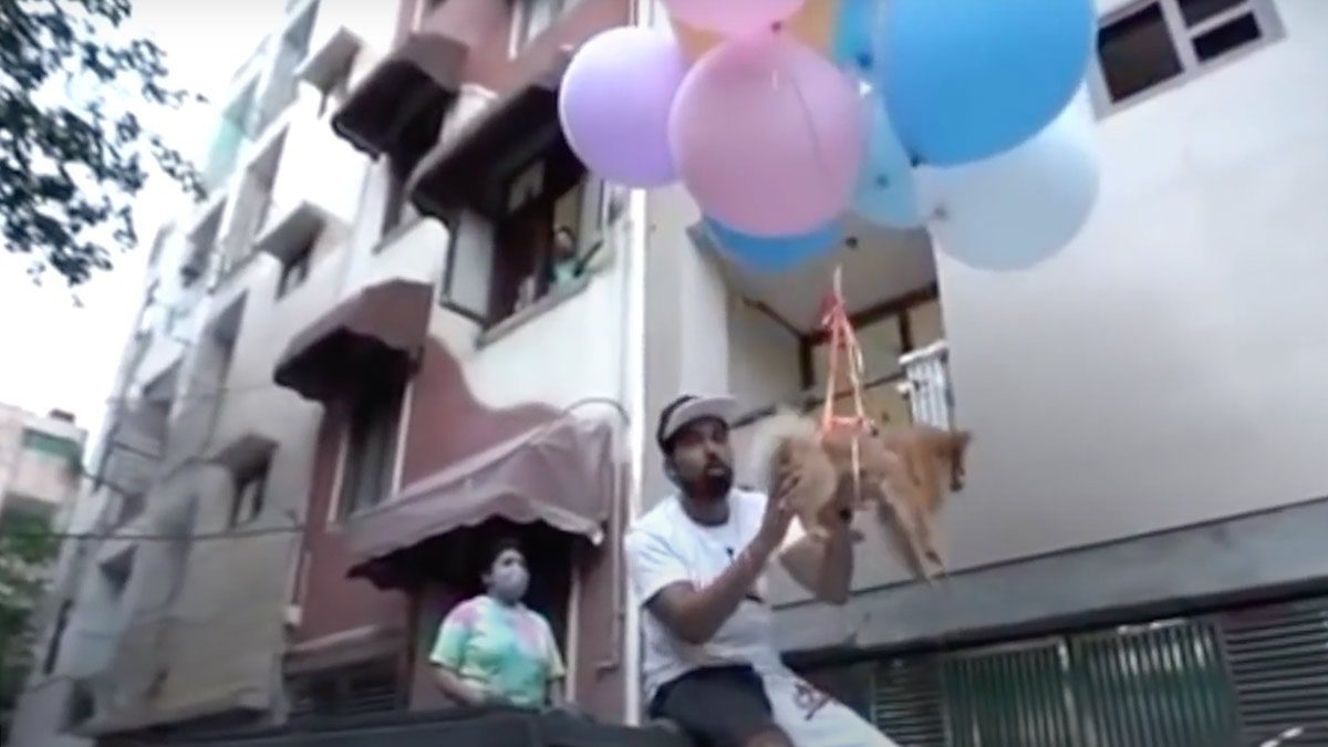 Youtuber hace volar a su perro, fue arrestado por crueldad animal