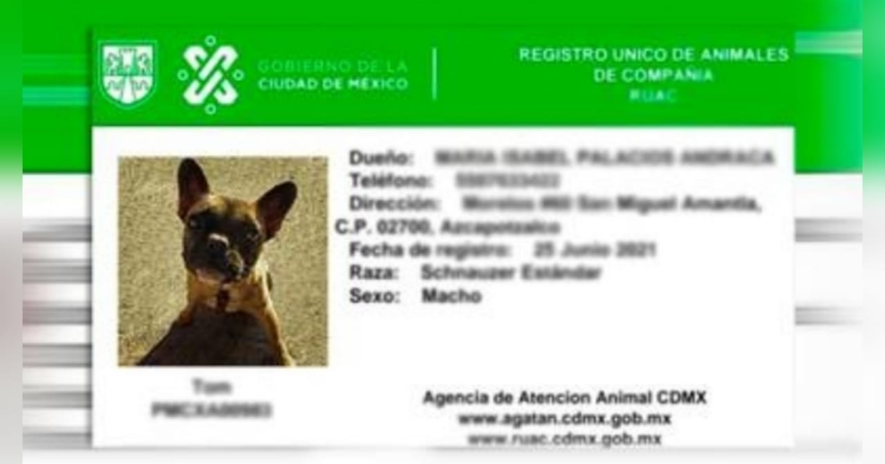 ¡CURP para mascotas! Te decimos como puedes tramitar el Registro Único de Animales de Compañía