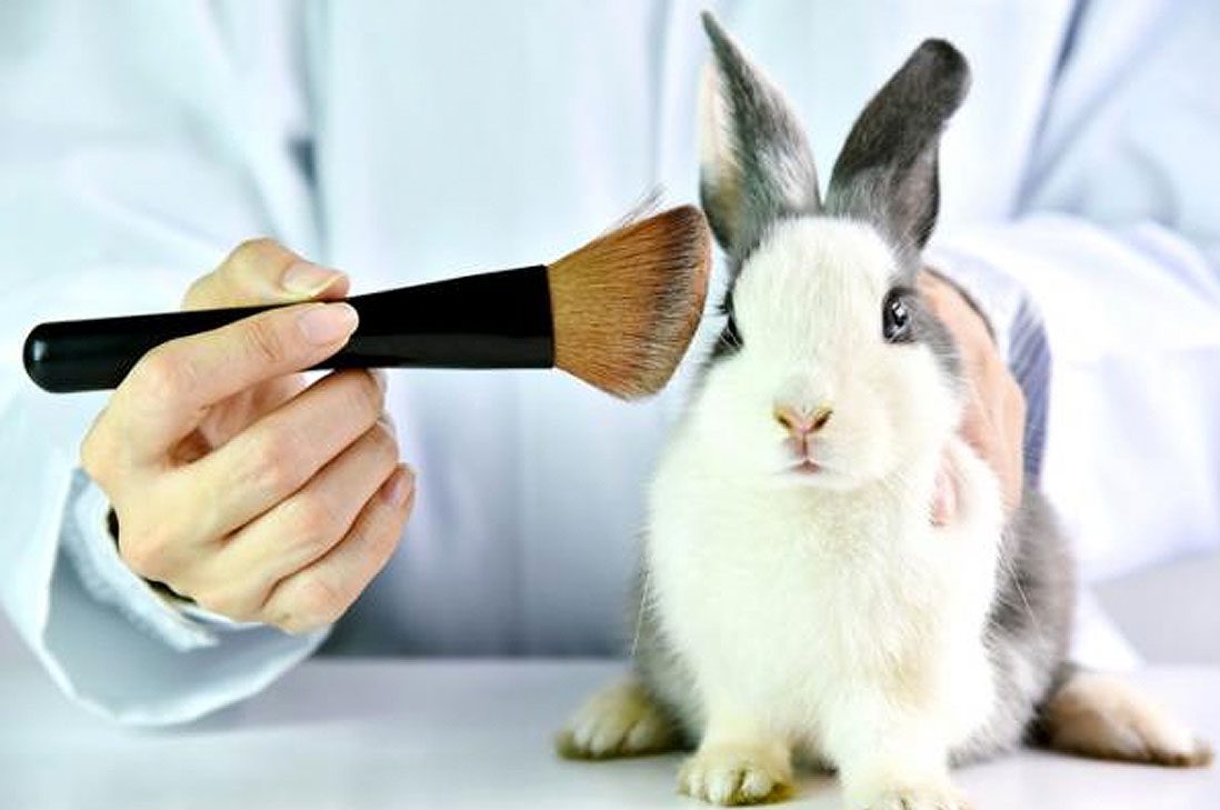 México prohíbe la experimentación en animales para productos cosméticos