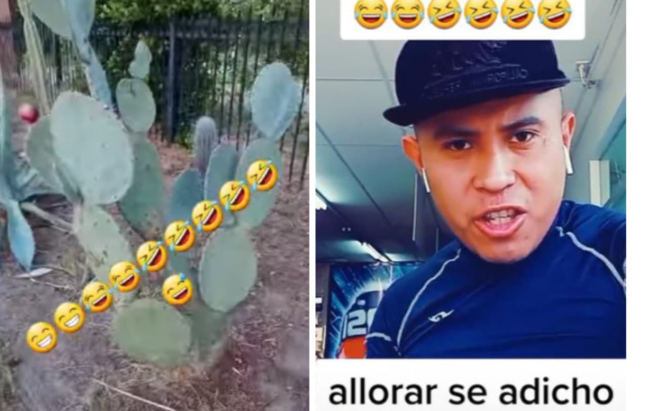 Tiktoker guatemalteco se burla e insulta a los mexicanos por comer nopales
