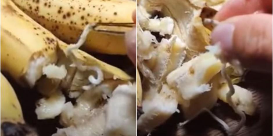 Desmienten video viral de gusanos en lote de plátanos