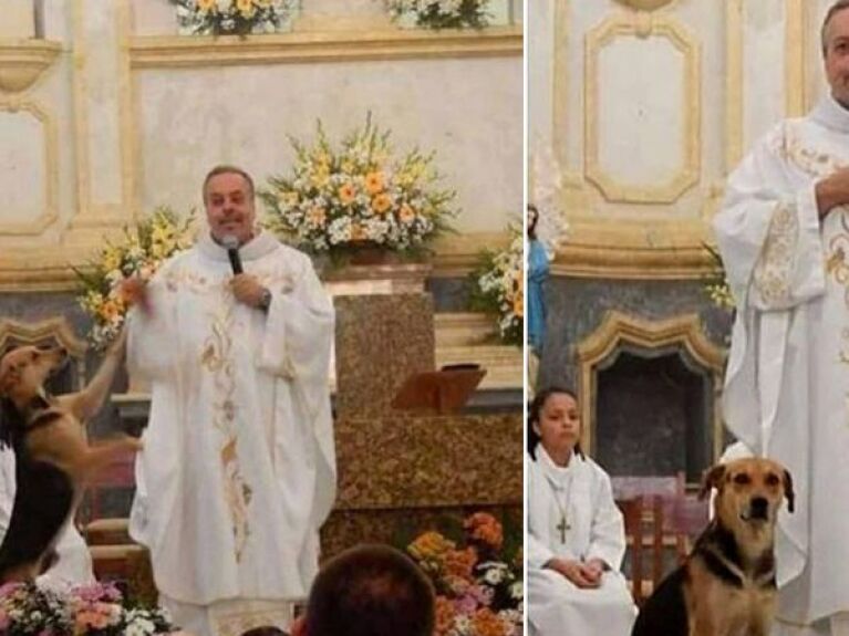 Sacerdote aprovecha las misas para dar en ADOPCIÓN a perritos sin hogar