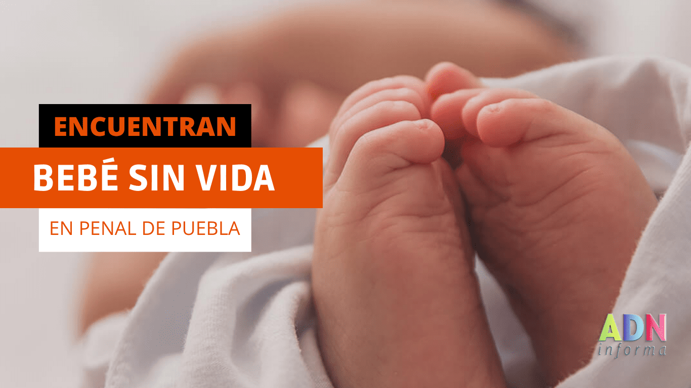 Encuentran cuerpo sin vida de un  bebé en basurero del penal de Puebla