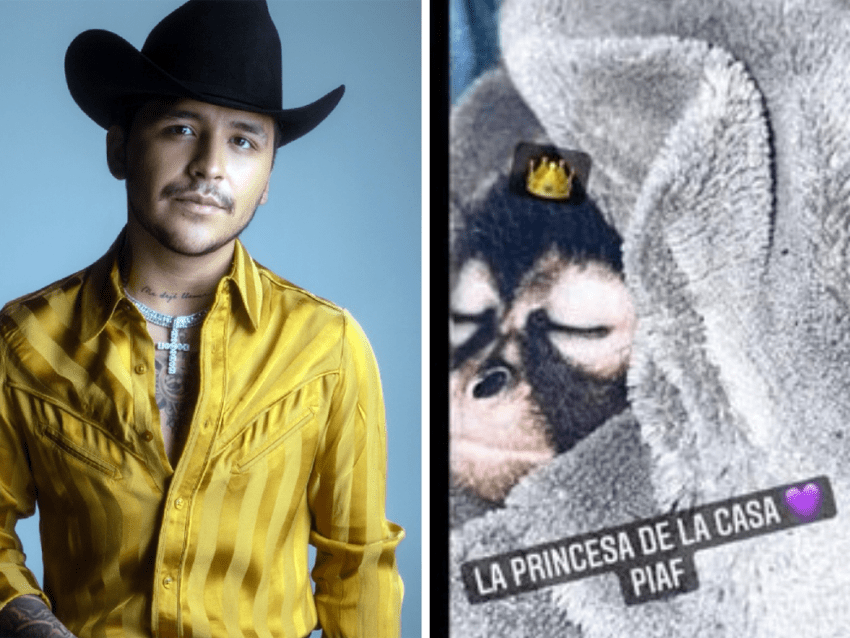 Lanzan críticas contra Nodal por su mono araña