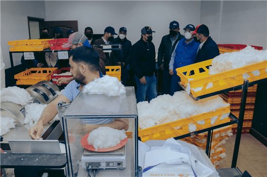 Empresarios de Chihuahua exportan algodón a países de Asia