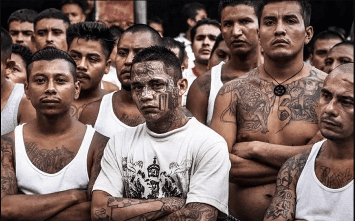 ¡Mara Salvatrucha ya está en México! advierte gobierno de Bukele