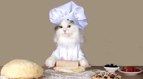 ¿De dónde surge la expresión un ojo al gato y otro al garabato?