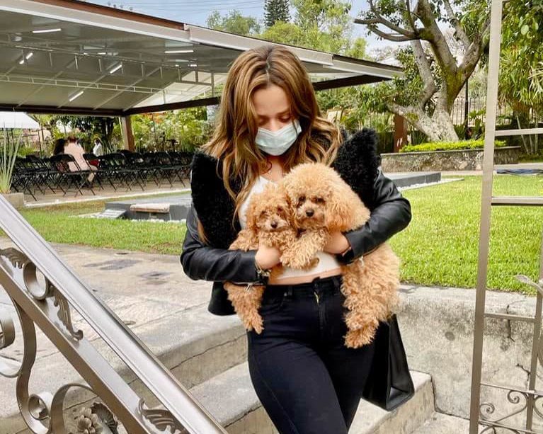 Ofrecen 50 mil de recompensa por perritos robados en Cuernavaca
