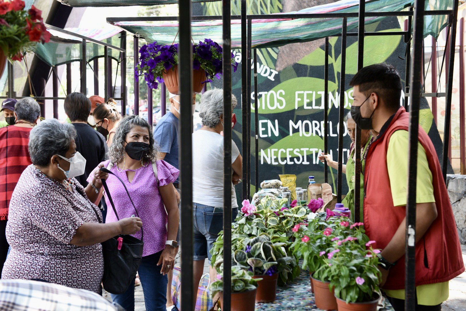 El domingo 3 de julio de llevará a cabo lo edición 86 del Mercadito Verde Morelos