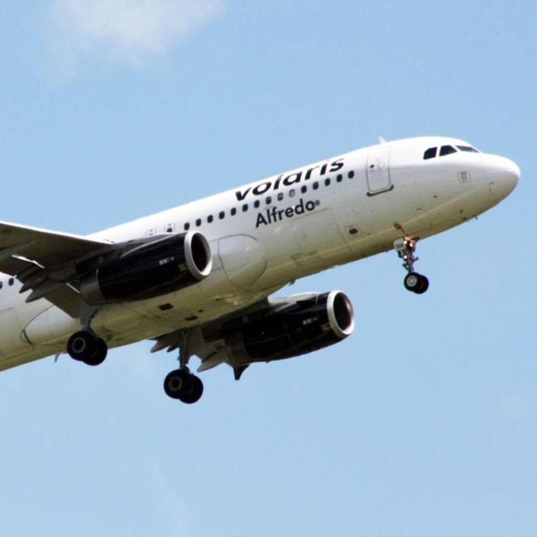 Usuario denuncia a aerolínea Volaris por no subir a su mascota al Avión