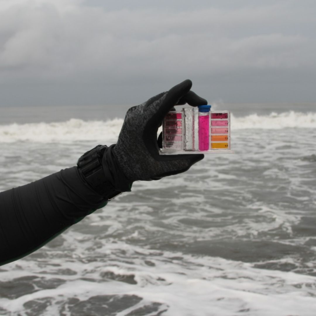Estas son las playas mexicanas con mayor contaminación fecal