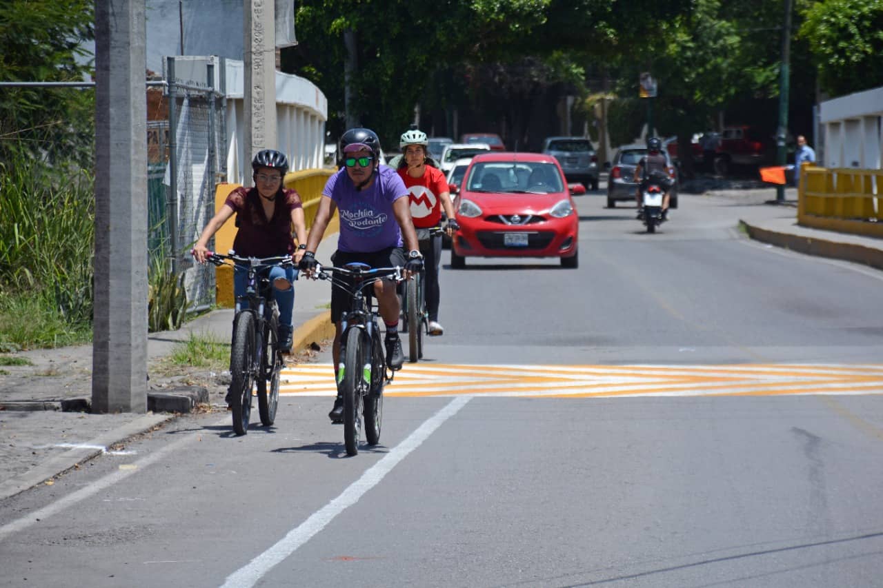 Avanza el proyecto de construcción de ciclovía en Paseo Palmira