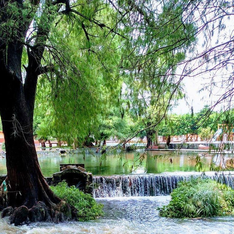 Invertirán en la recuperación del manantial “Las Fuentes” de Jiutepec
