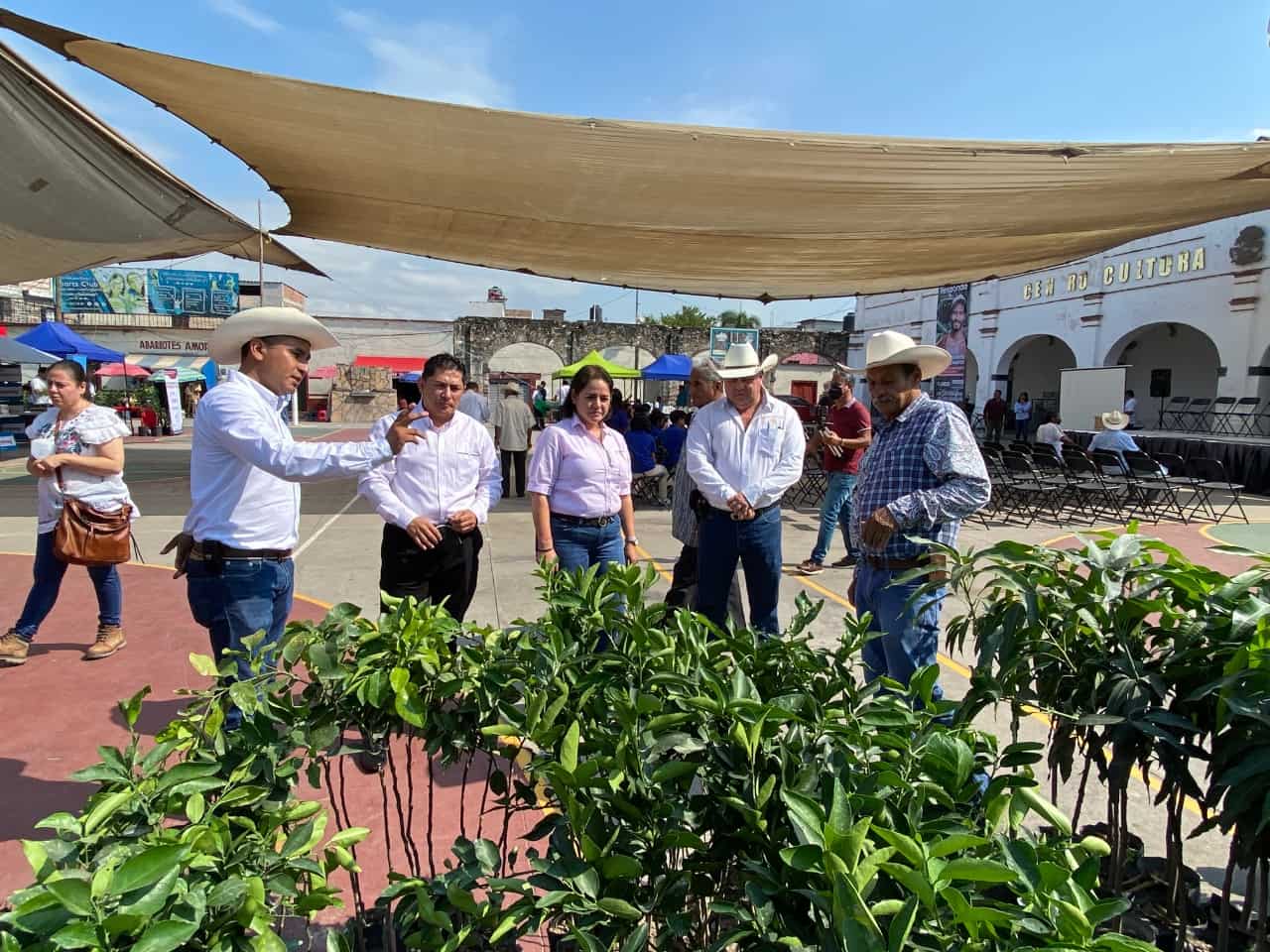 Morelos es uno de los principales productores de nopal, caña, azúcar y tomate rojo