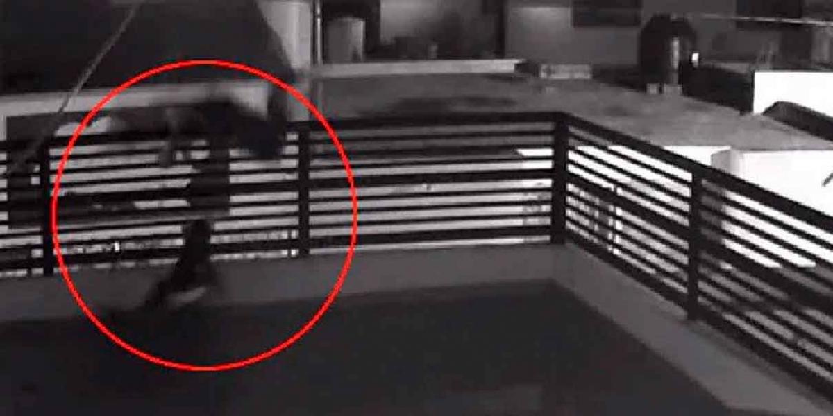 (VIDEO): Perros frustran asalto en casa de Saltillo, Coahuila