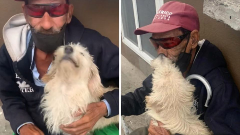 [VIDEO] Abuelito se reencuentra con su perro guía