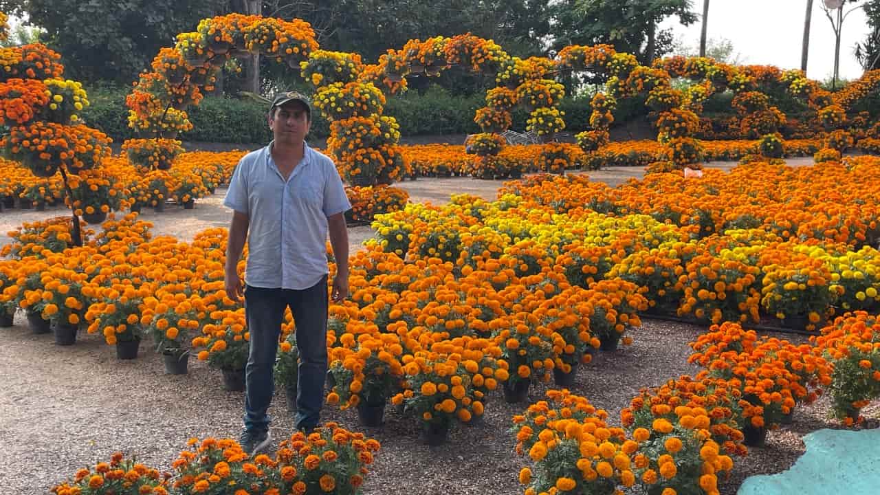El negocio de la familia Ocampo Peralta da trabajo a más de 12 morelenses