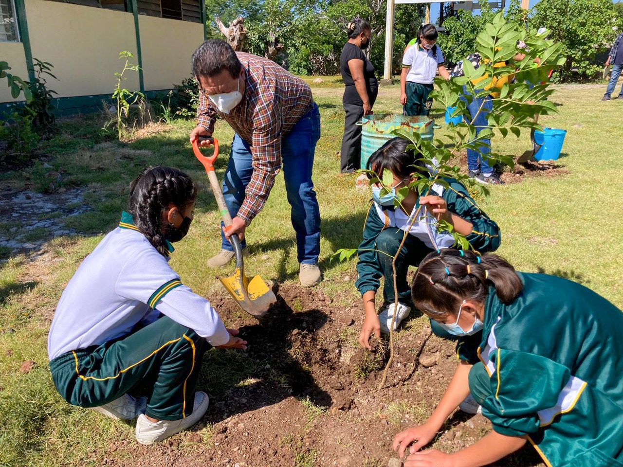 Reforestaron Morelos con más de 250 mil árboles