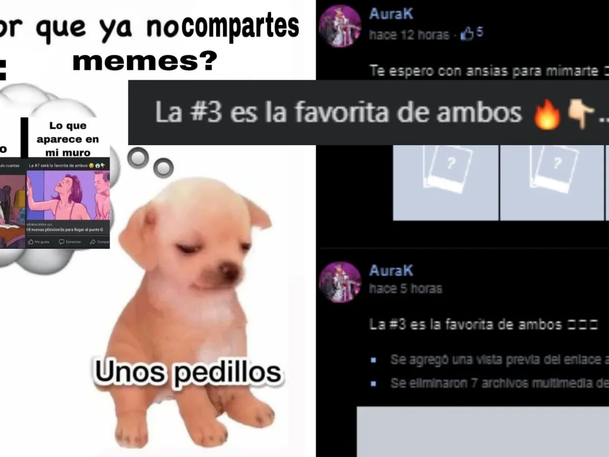 Razón por la que los memes se cambian por páginas de adultos