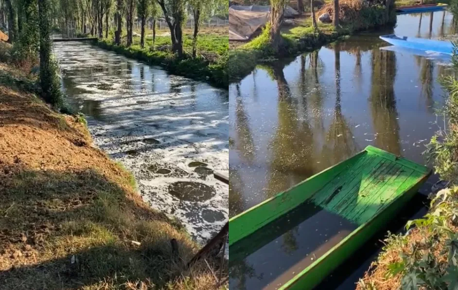 (VIDEO): Tras el sismo, canales de Xochimilco y Tláhuac burbujearon
