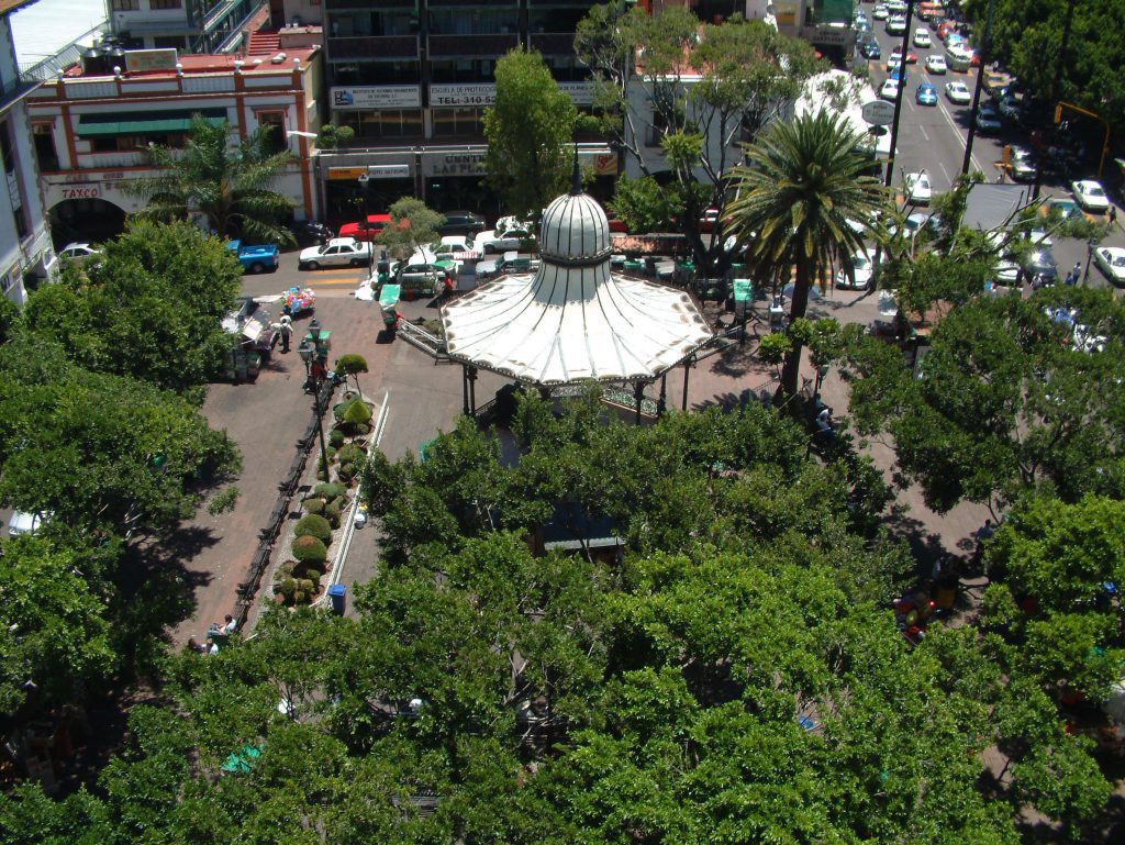 Detectan hongo que afecta a los árboles de Cuernavaca