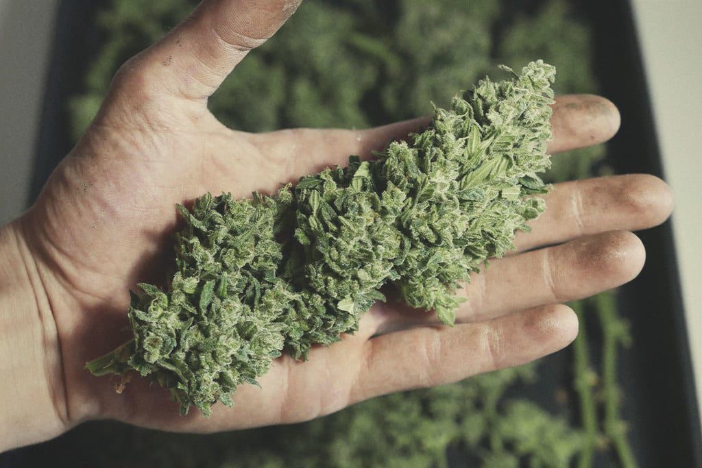 Desmantelan red de tráfico de drogas que se hacia pasar por ayuda humanitaria para Ucrania