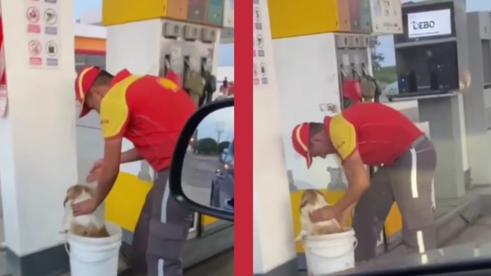(VIDEO): Empleado de gasolinera da baños a perritos callejeros