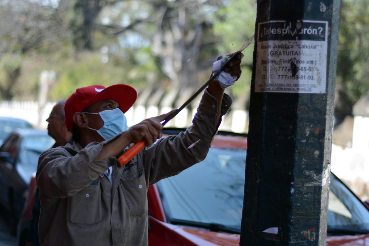 Retiran publicidad de postes y árboles de Cuernavaca