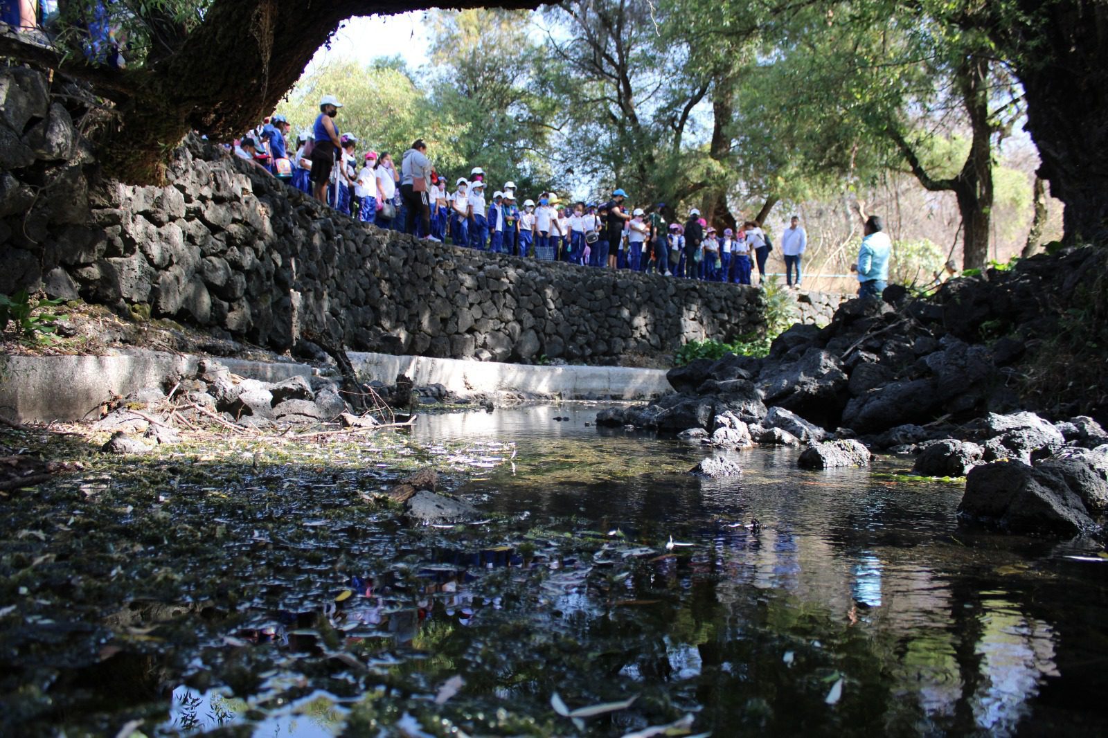 Conmemoran el Día Mundial de los Humedales en la Laguna de Hueyapan