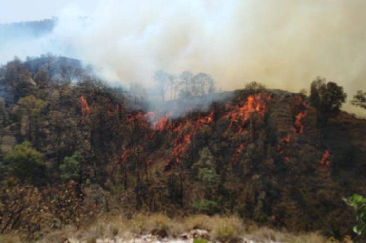 Incendio en Bosque de la Primavera causa contingencia en Guadalajara