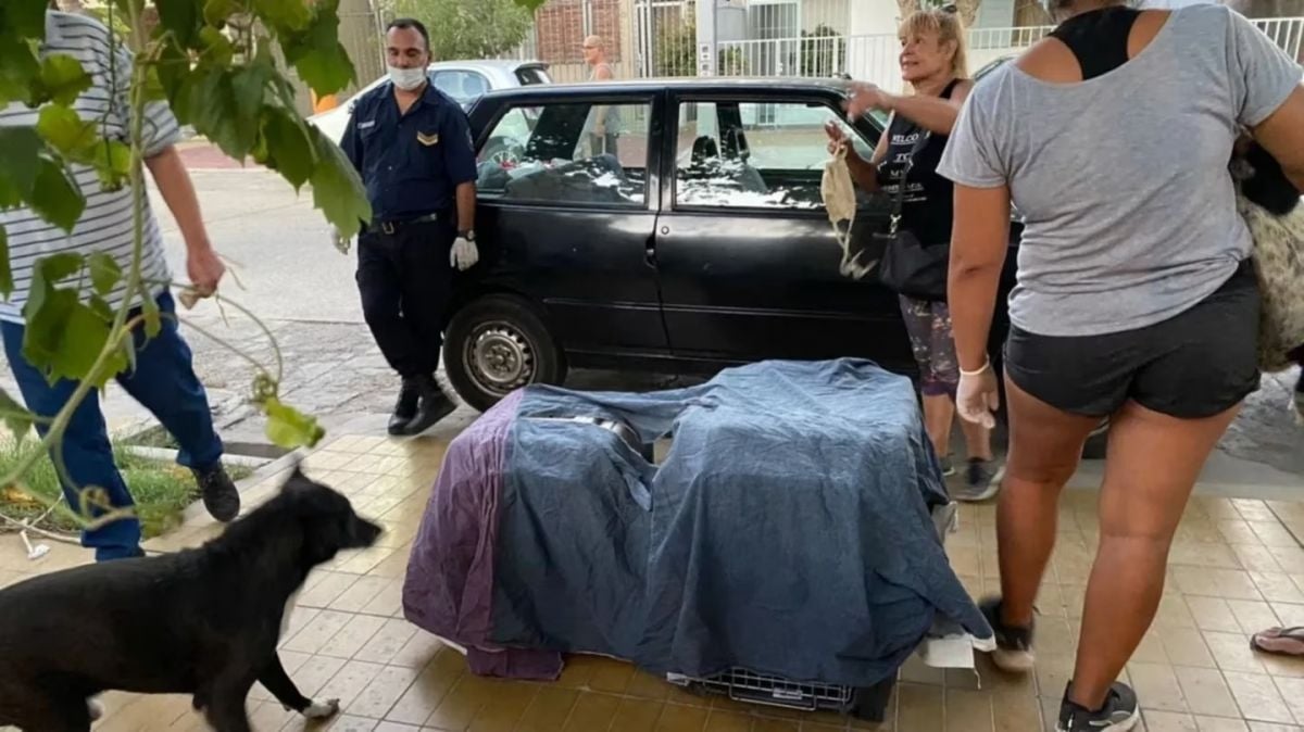 Mujer m4tab4 perros y gatos para vivir más tiempo
