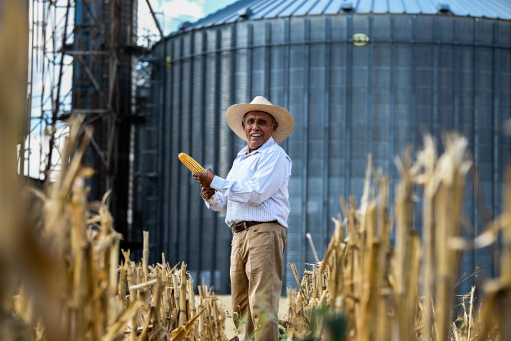 Productores de Morelos destacan apoyos para la producción de maíz y sorgo