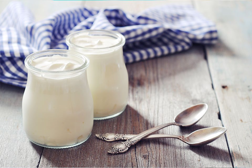 Chiapas yogurt