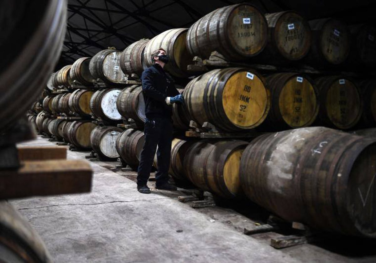 Hogares del condado de Lincoln están infestados con el “hongo del whisky”