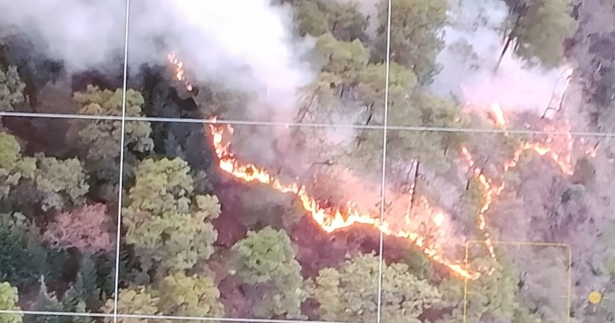 Analizan pedir apoyo aéreo para controlar el fuego en Cuernavaca