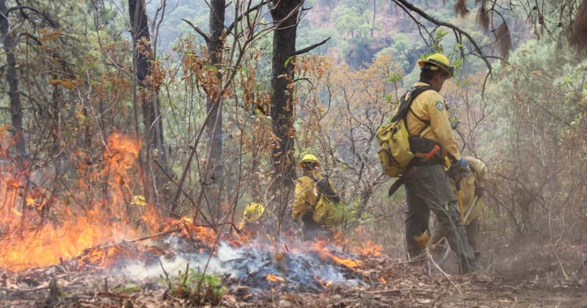 incendio Tepoztlán