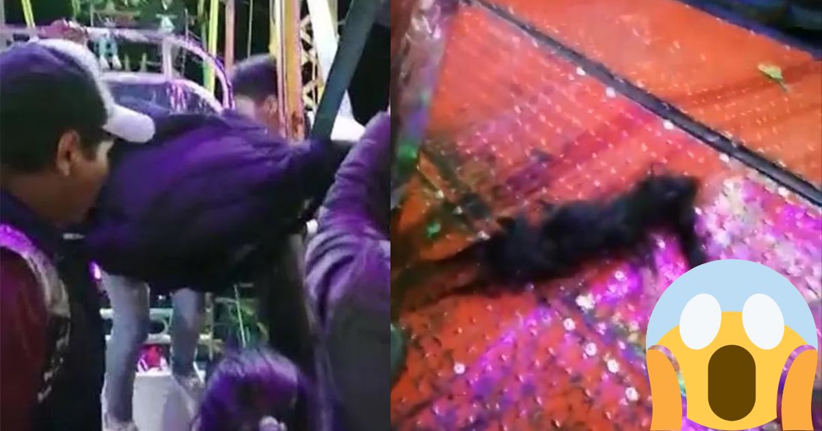 (VIDEO): Joven se atora(VIDEO): Joven se atora con su cabello en rueda de la fortuna con su cabello en rueda de la fortuna