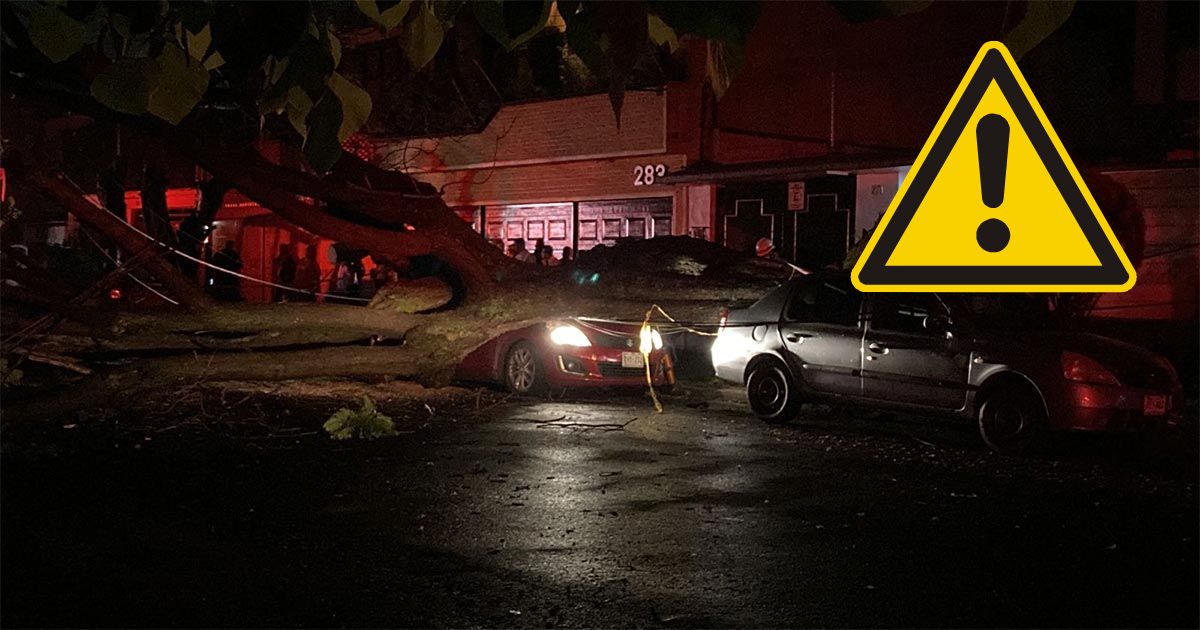 Joven es aplastada por un árbol debido a lluvia