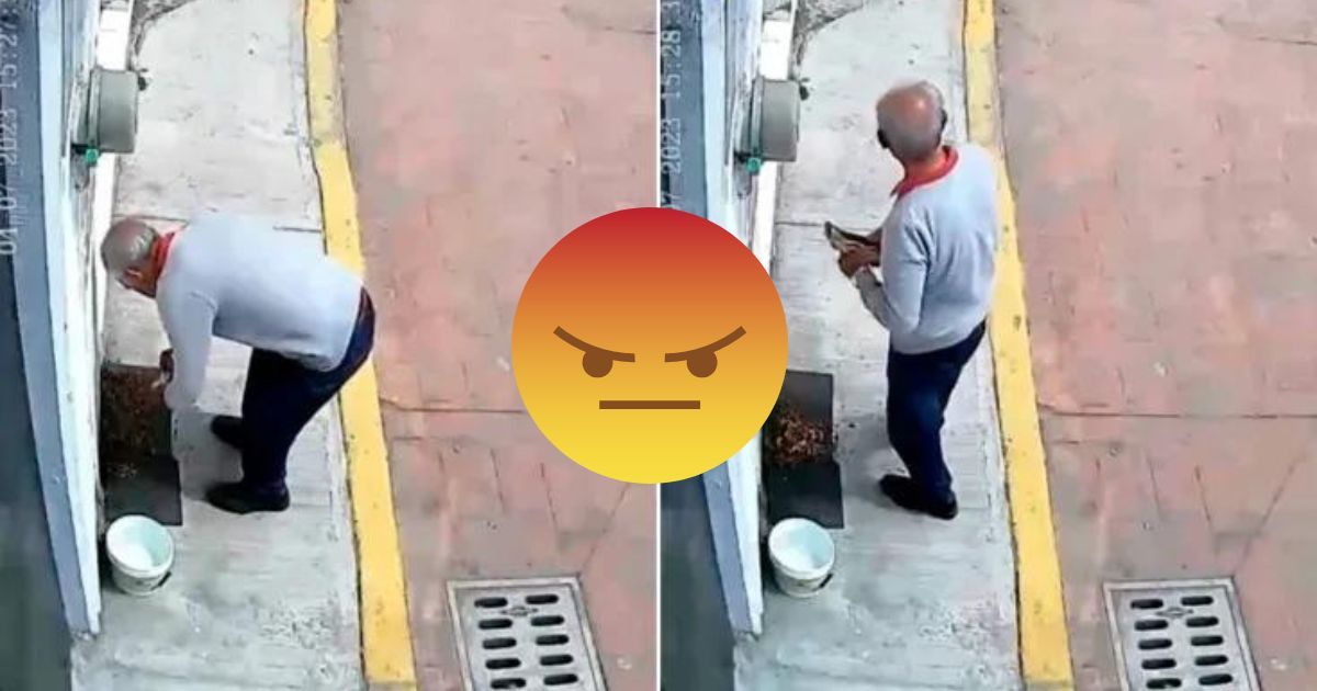Adulto mayor es captado presuntamente envenenando croquetas
