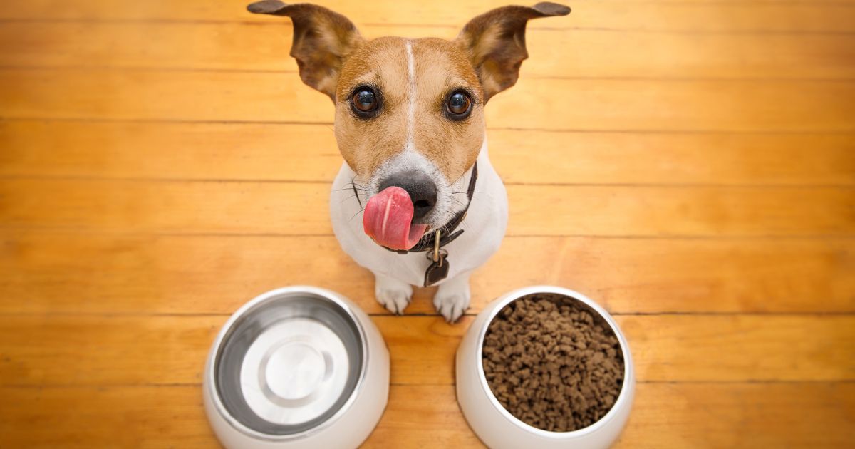 Sube de precio el alimento para perro