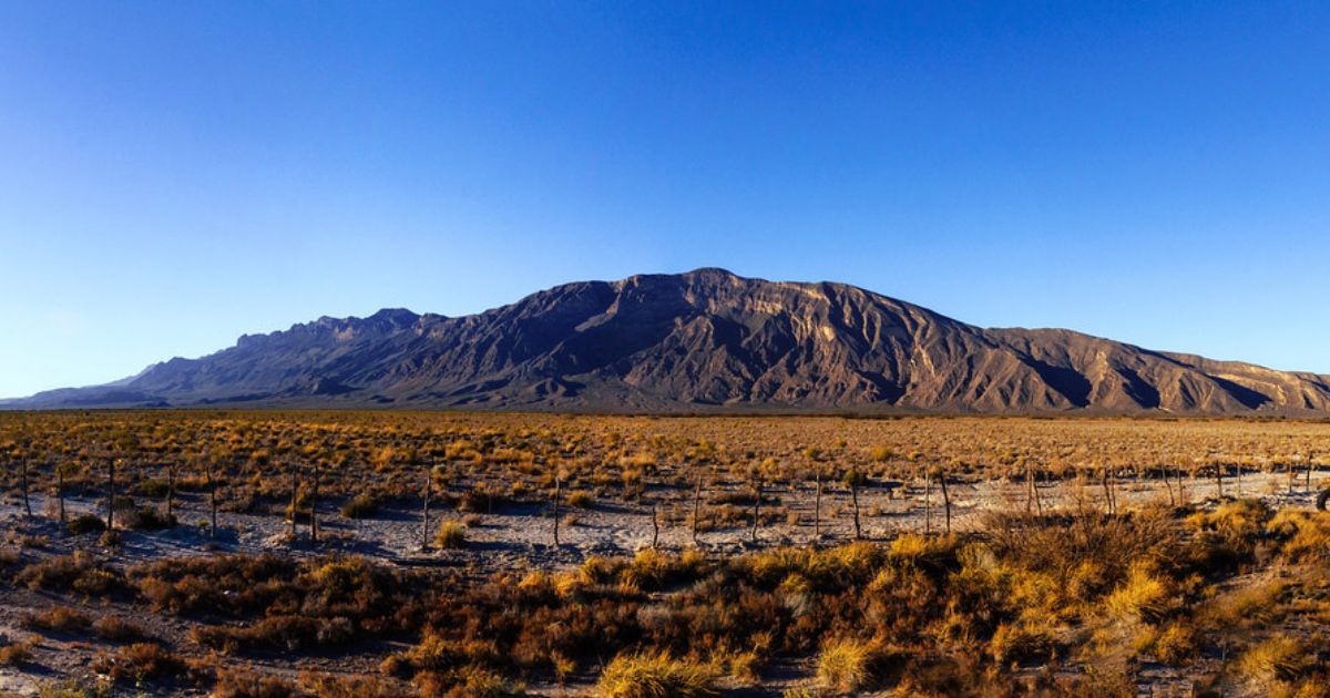 Desierto de Coahuila