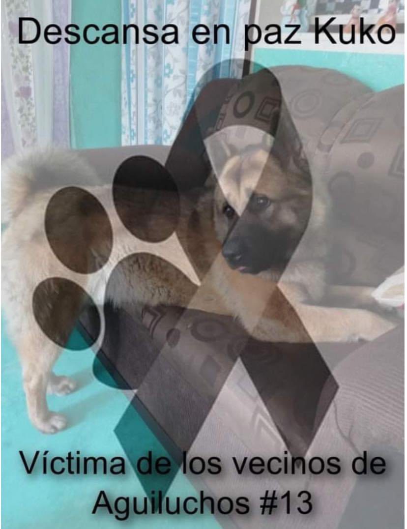 Investigan la muerte de “Kuko”en el Estado de México