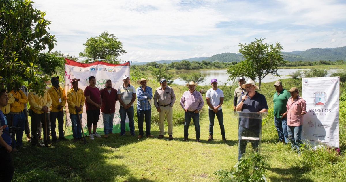 Reforestamos Morelos