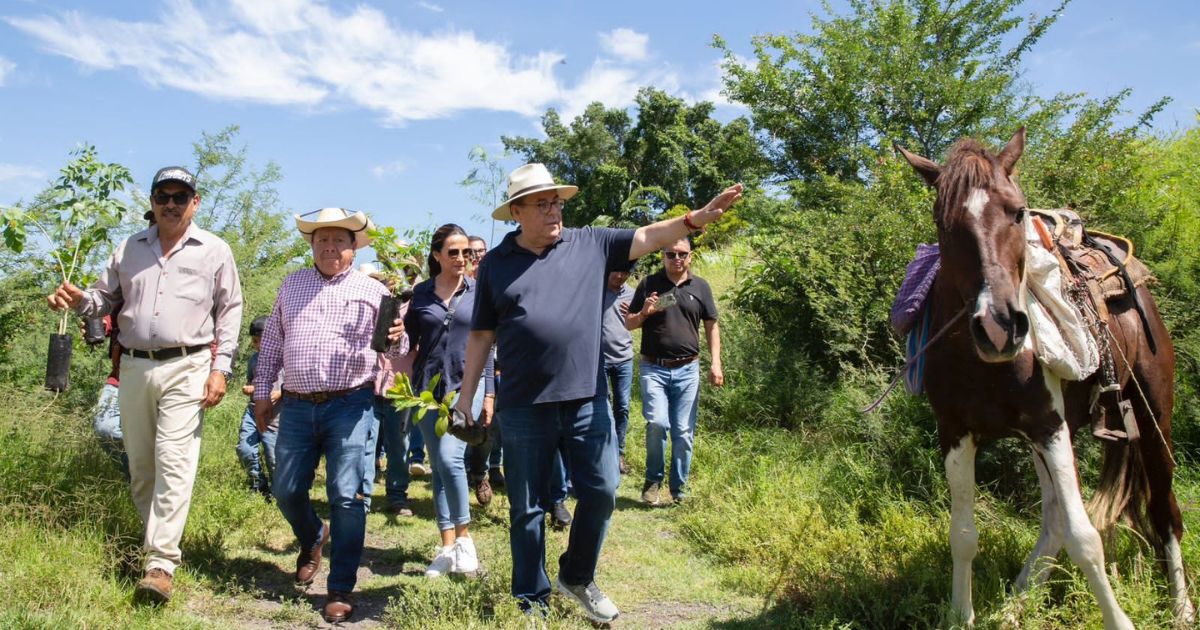Reforestamos Morelos