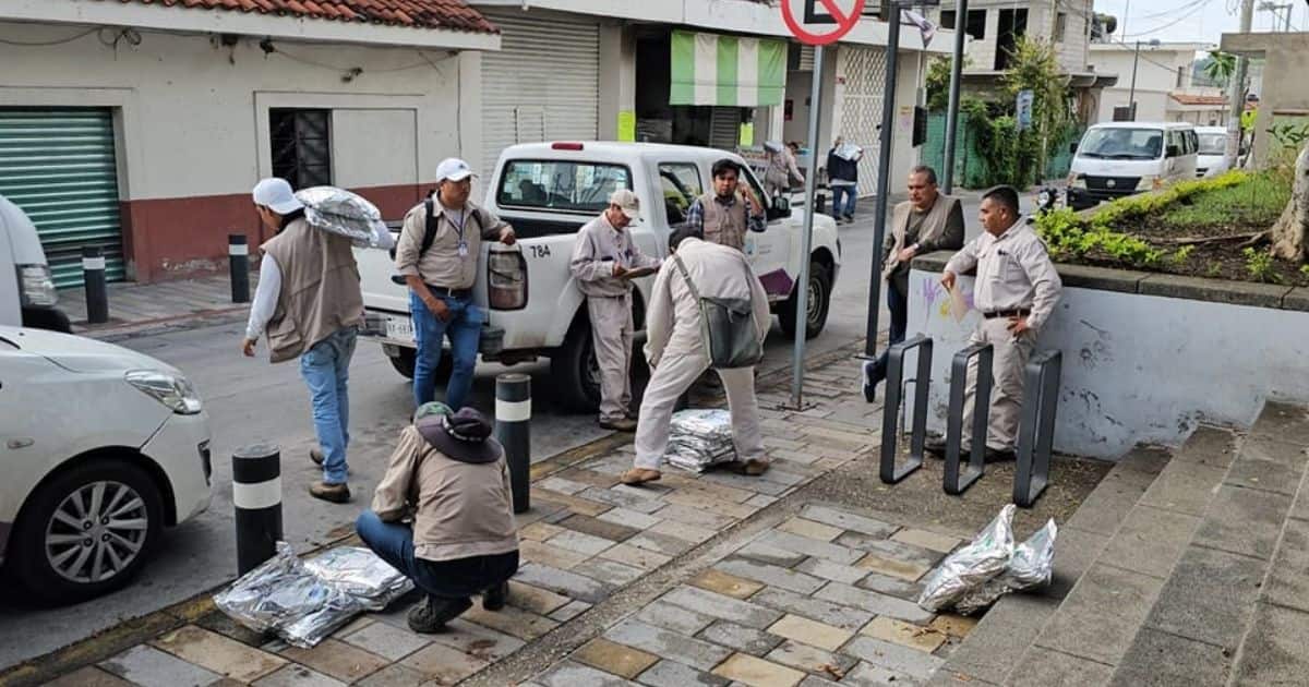 Operativo contra el Dengue Ayala Morelos