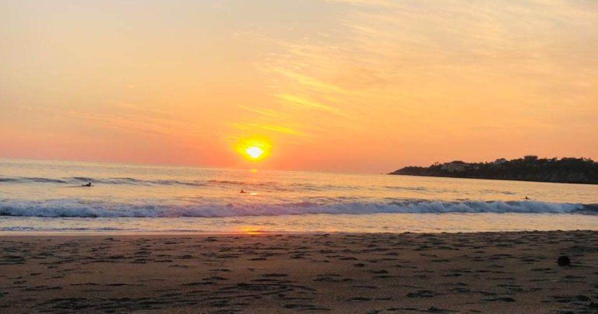 playas cofepris