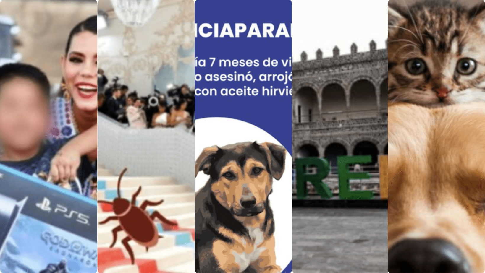 Top 5 de lo más leído en MAYO 2023