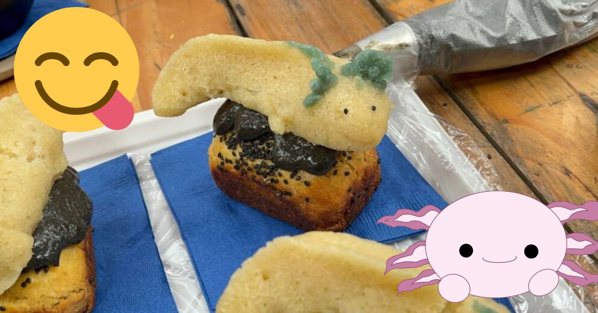 Crean tamal de ajolote y se llama “Wow Xolota”